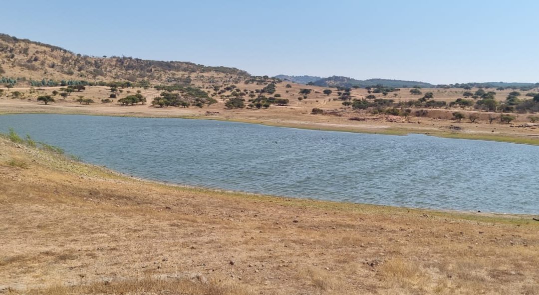 Hacienda don Bastián – La Estrella Parcela 2