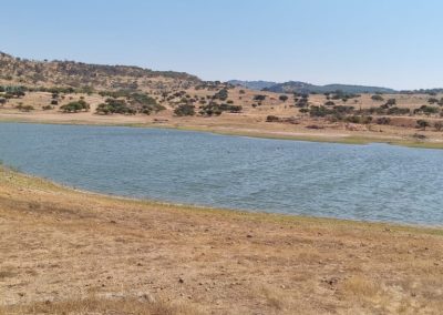 Hacienda don Bastián – La Estrella Parcela 2