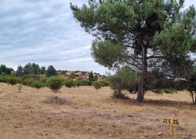 Parcelas Reserva Amanda